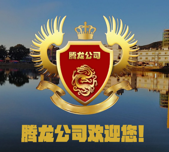 腾龙娱乐中心品牌形象展示